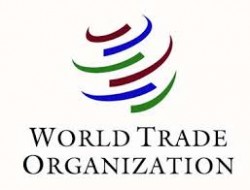 Dünya Ticaret Örgütü (WTO) (World Trade Organization)